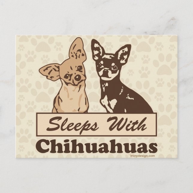 Cartão Postal Dorme com Chihuahuas (Frente)