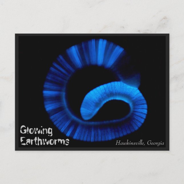 Cartão postal dos EUA Hawkinsville Georgia (Frente)