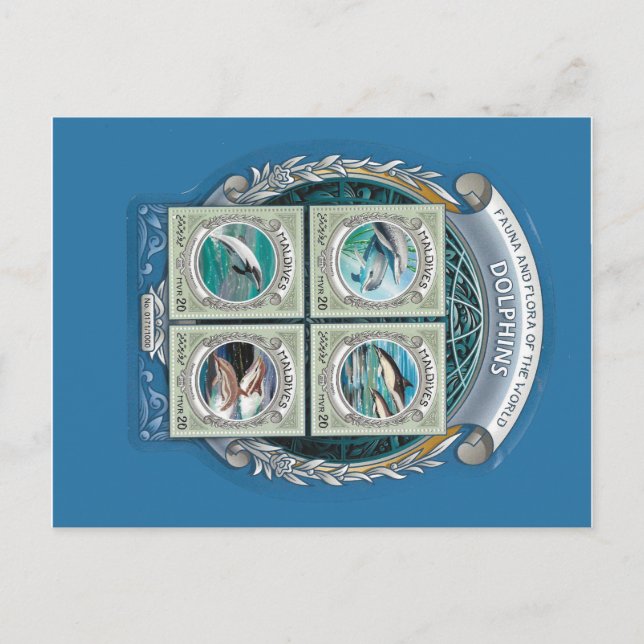Cartão postal dos golfinhos das Maldivas (Frente)