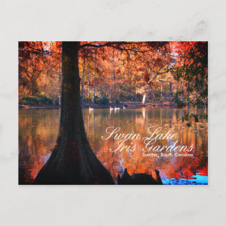 Cartão postal dos Jardins do Lago dos Cisnes Iris