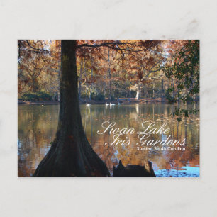 Cartão postal dos Jardins Swan Lake Iris