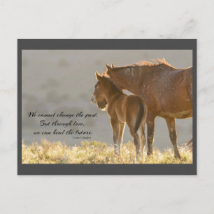 Cartão Postal dos Mustangs Selvagens para Sempre