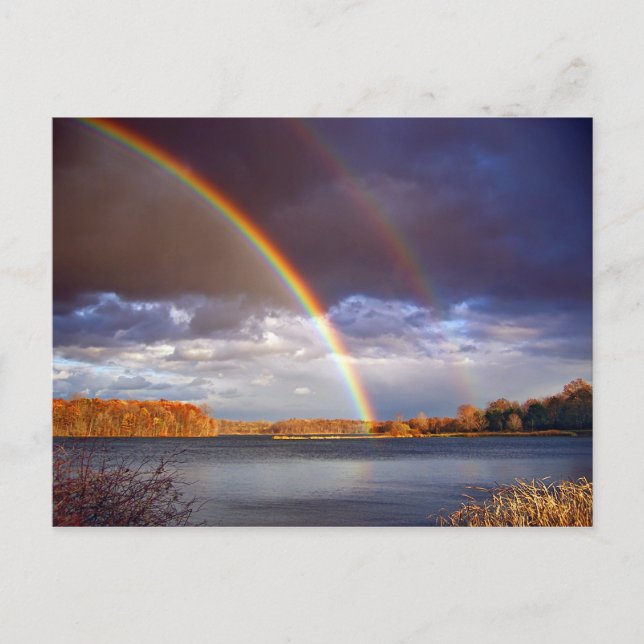 Cartão Postal Double Bows (Frente)