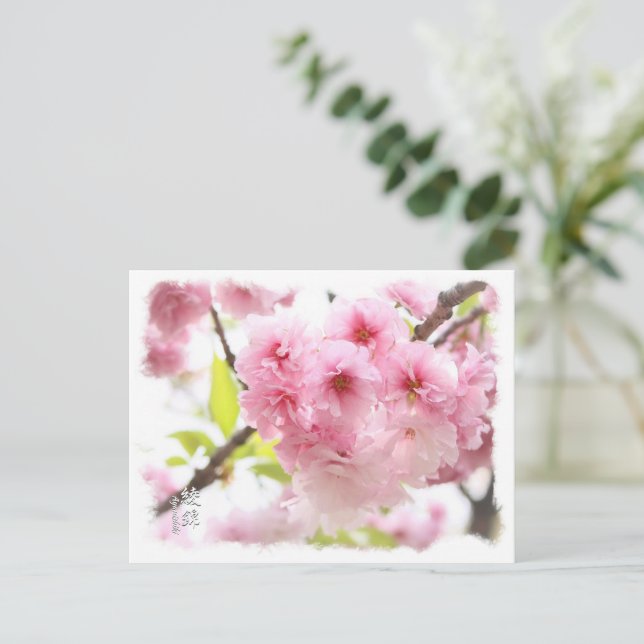 Cartão Postal Double Cherry Blossom: Ayanishiki ポストカード (Em pé/Frente)