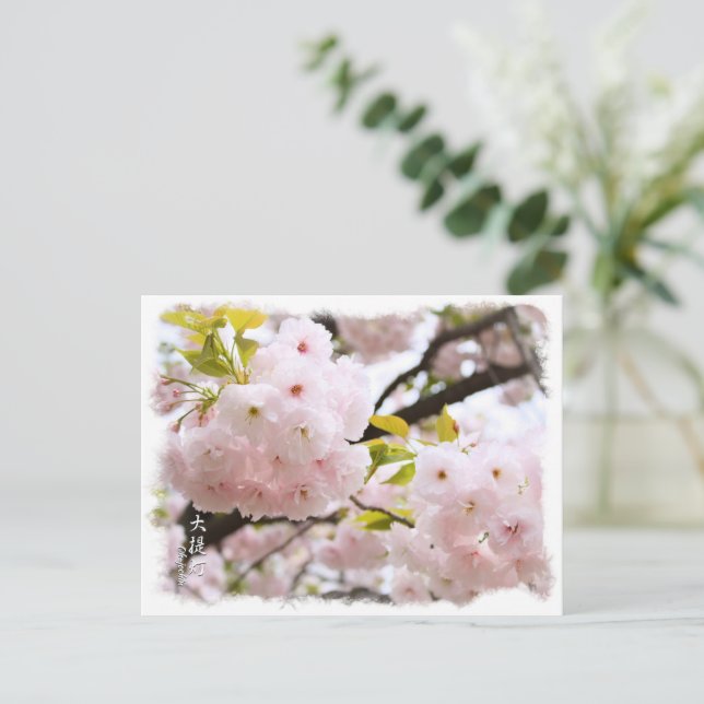 Cartão Postal Double Cherry Blossom: Oh-jochin ポストカード (Em pé/Frente)