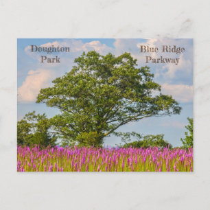 Cartão Postal Doughton Park no Blue Ridge Parkway