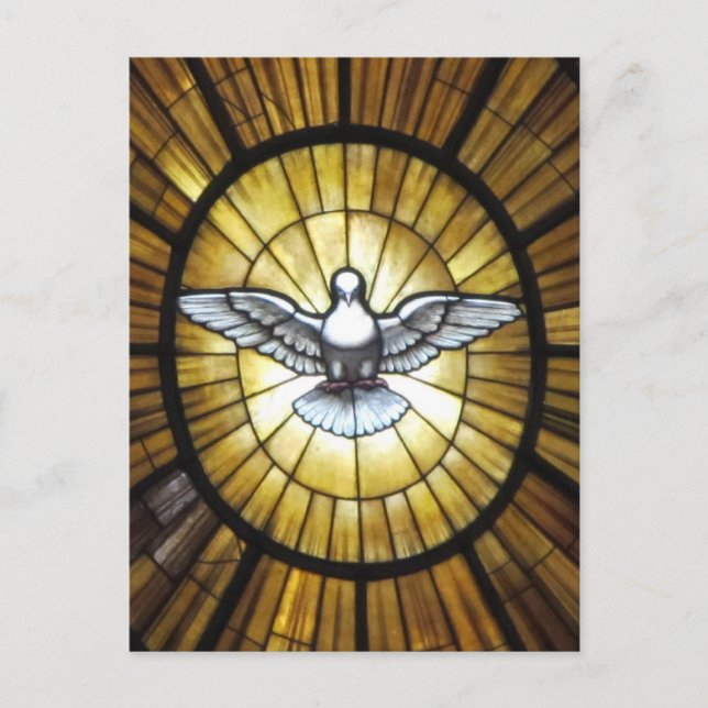 Cartão Postal Dove (Frente)