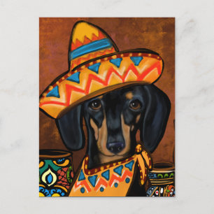 CARTÃO POSTAL DOXIE 