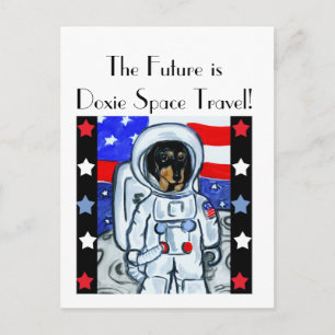 CARTÃO POSTAL DOXIE ASTRONAUT