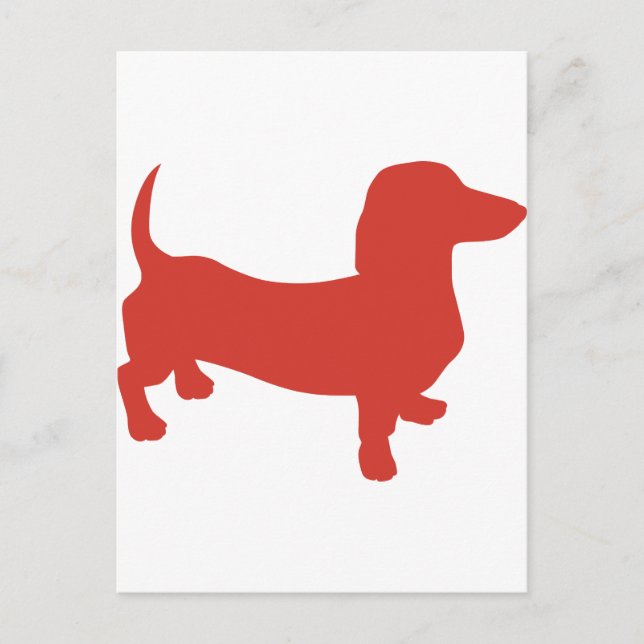 Cartão Postal Doxie - Dacshund (Frente)