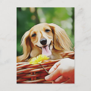 Cartão Postal Doxie Person Mão Mostrando Uma Flor Para Um Dachsh