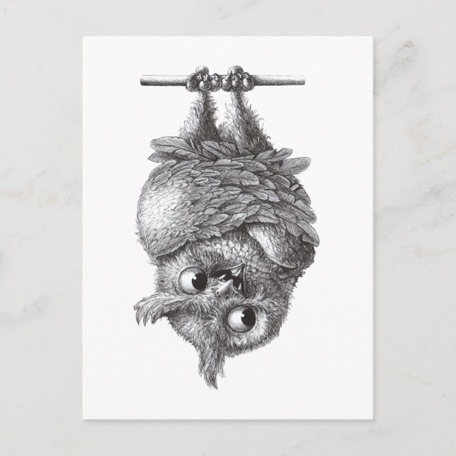 Cartão Postal Dracula Owl Legal e tão assustador (Frente)