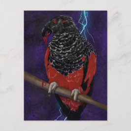 Cartão Postal Dracula Parrot