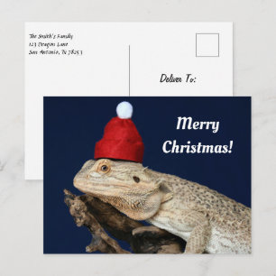 Cartão Postal Dragão de Mão Brava de Natal em um Chapéu Santa