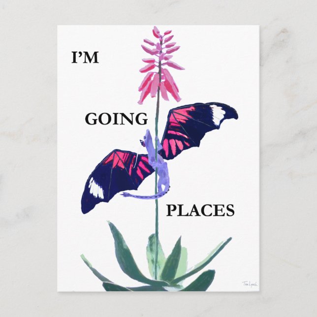 Cartão Postal Dragão e Cactus (Frente)