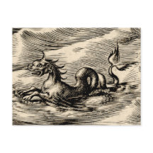 Dragão marinho no Equador