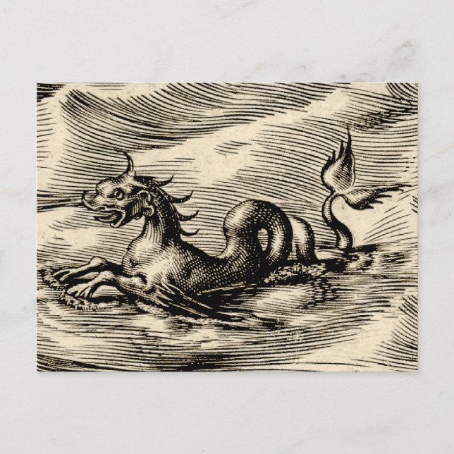 Cartão Postal Dragão marinho no Equador (Frente)