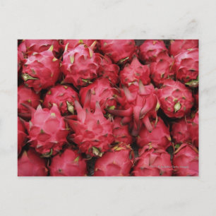Cartão Postal Dragão rosa empilhado