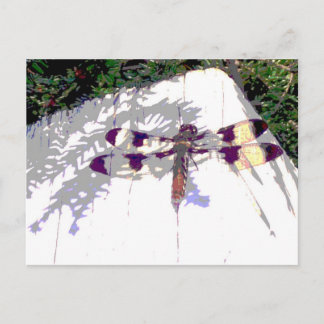 Cartão Postal Dragonfly