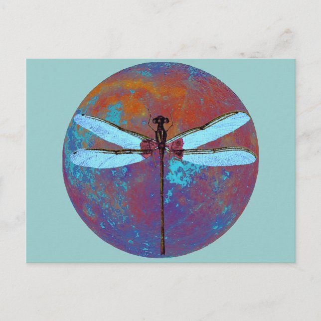 Cartão Postal Dragonfly (Frente)