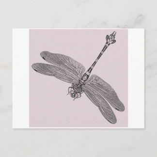 Cartão Postal Dragonfly