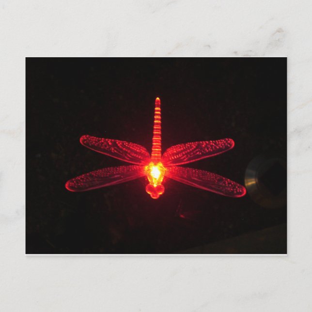 Cartão Postal Dragonfly brilhante (Frente)