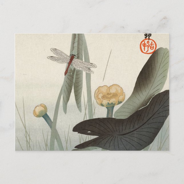 Cartão Postal Dragonfly e Lotus, 1920 por Ohara Koson (Frente)