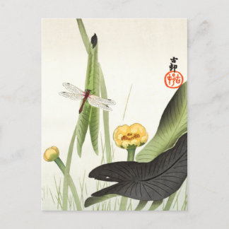 Cartão Postal Dragonfly e Lotus por Ohara Koson, Arte Japonesa,