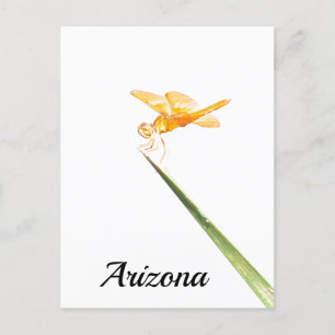 Cartão Postal Dragonfly mexicana de asa âmbar, Arizona
