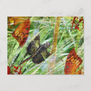Cartão Postal Dragonfly, Voe para longe