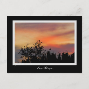 Cartão Postal Dramatic Sunset Bird San Diego Pink Orange