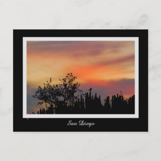 Cartão Postal Dramatic Sunset Bird San Diego Pink Orange