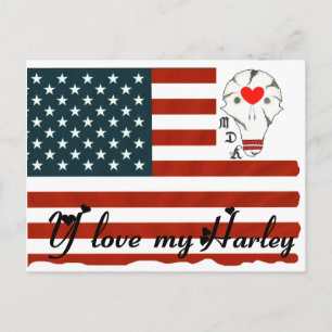 Cartão Postal DRAPEAU TDM AMA MEU HARLEY.png
