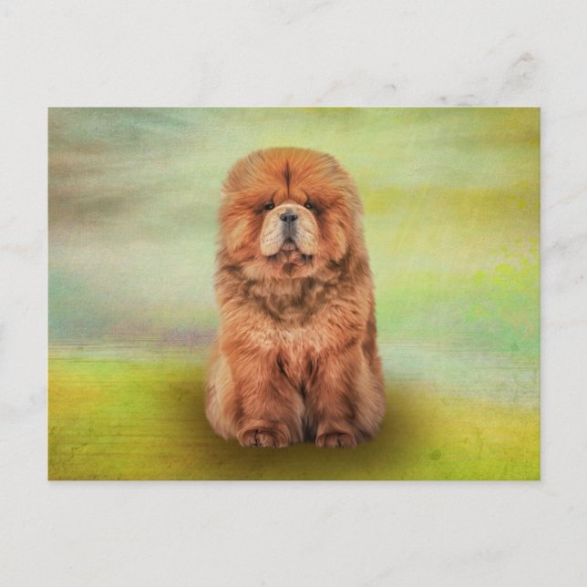 Cartão Postal Drawing dog chow chow (Frente)