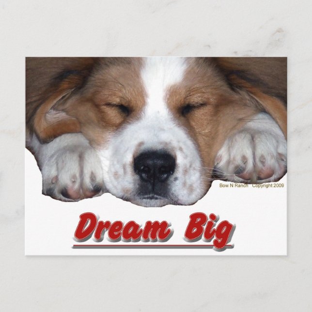 Cartão Postal Dream Big Dog (Frente)