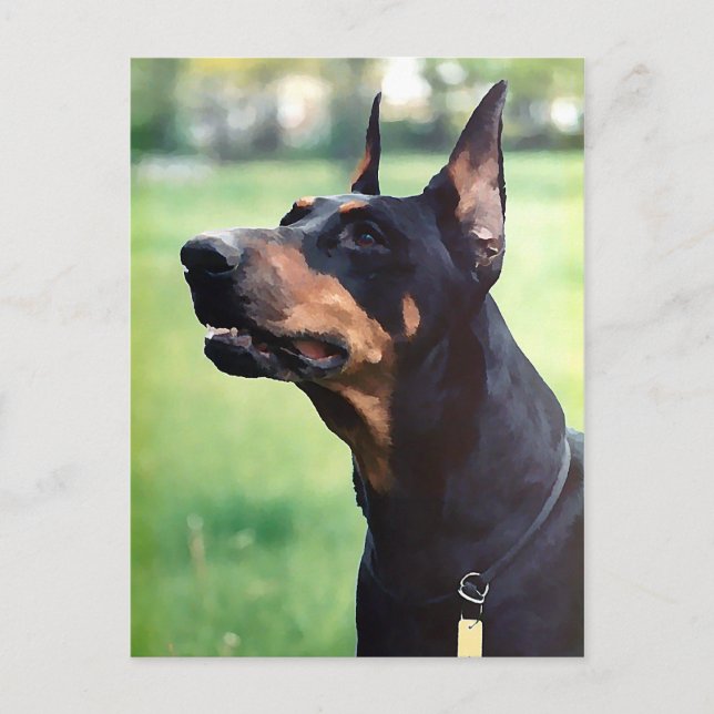 Cartão Postal Dreamy Doberman Pinscher Face Painting (Frente)