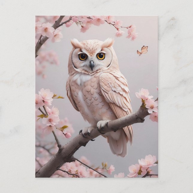 Cartão Postal Dreamy Pink Cherry Blossoms Owl (Frente)