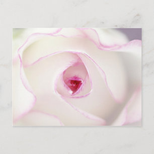 Cartão Postal Dreamy rosa