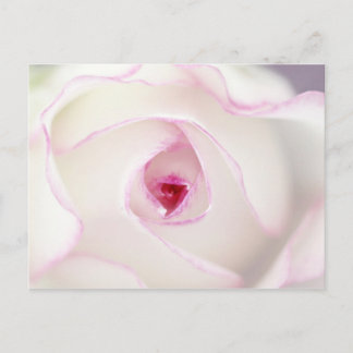Cartão Postal Dreamy rosa