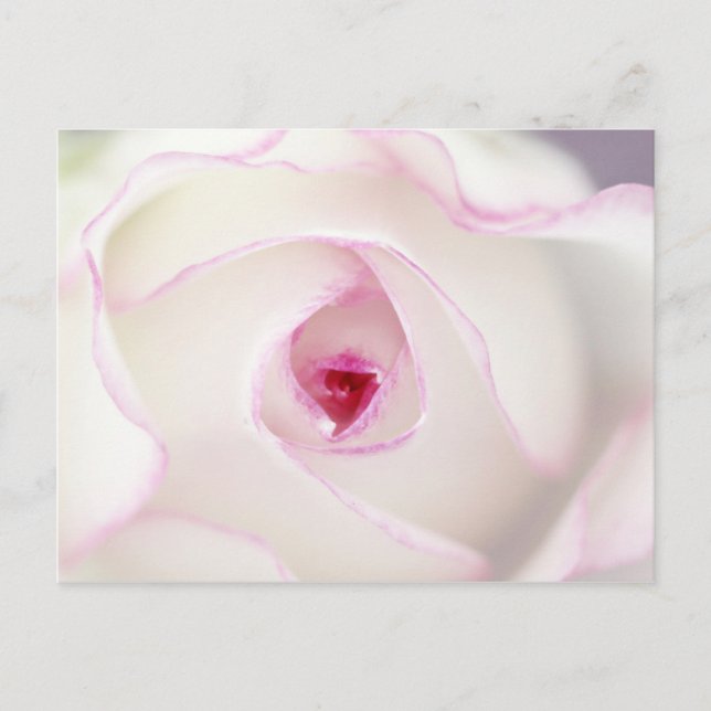 Cartão Postal Dreamy rosa (Frente)