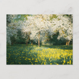 Cartão Postal Dreamy spring orchard