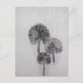 Cartão Postal Dreiblatt