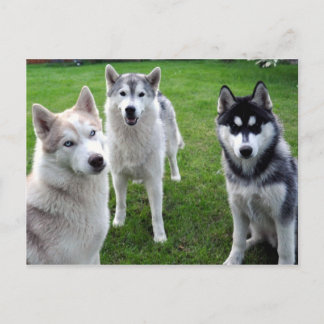 Cartão Postal dreierlei