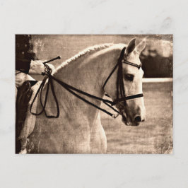 Cartão Postal Dressage Grunge