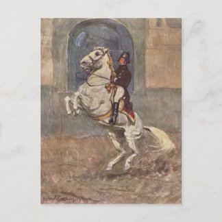 Cartão Postal Dressage Show Horse