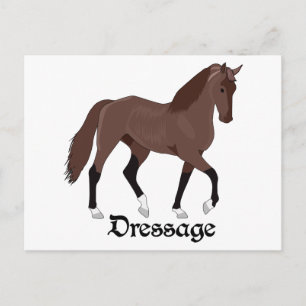 Cartão Postal Dressagem