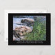 Cartão Postal Driftwood e Zola Quote (Frente/Verso)