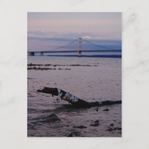 Cartão Postal Driftwood no lago Michigan