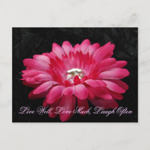 Cartão Postal DSC00005 (2), Live Good, Love Much, Laugh Frequent