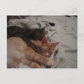 Cartão Postal dsc00178[1] (2)